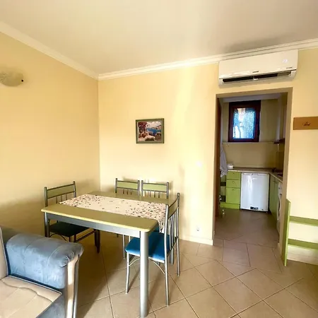 Amarena Santa Marina, * ソゾポル