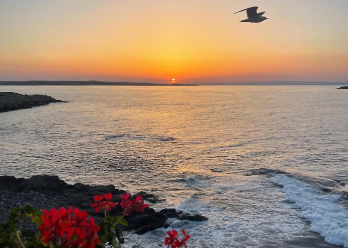 Amarena Santa Marina,