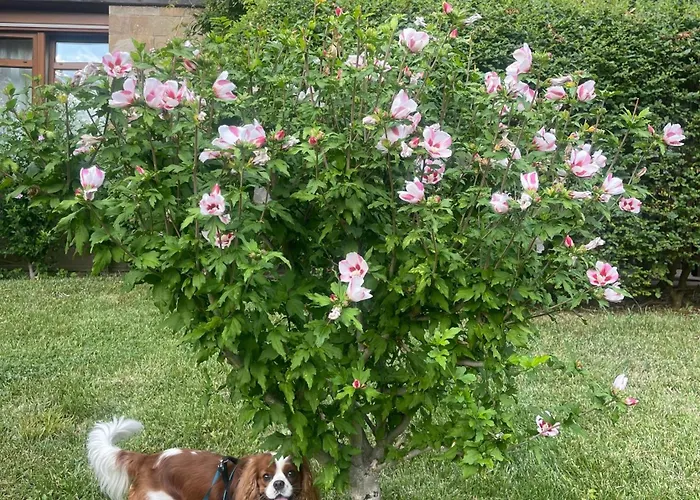 Апартамент Amarena Santa Marina, *